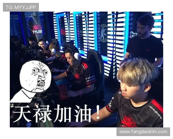 V5战队配合分析：如何在CSGO中实现团队默契与战术协同