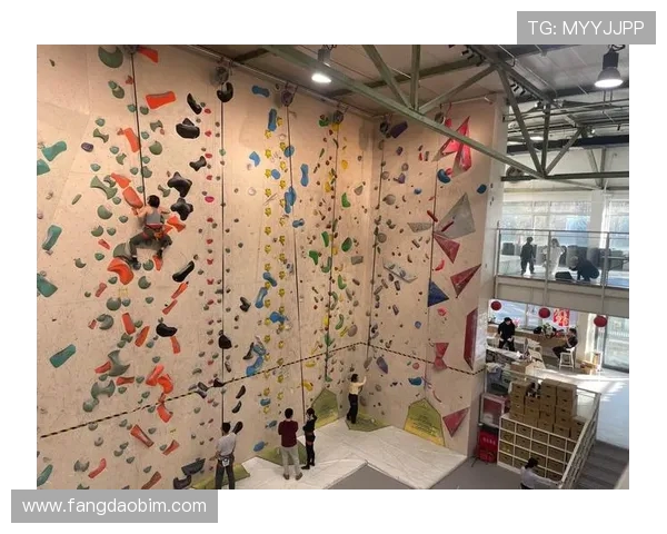 上海攀岩队荣登攀岩耐力排行榜首位引领全国攀岩新风潮