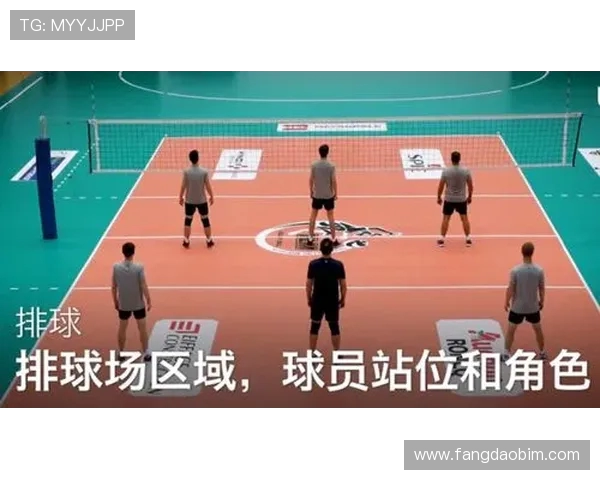 从零开始：排球个人能力完全攻略