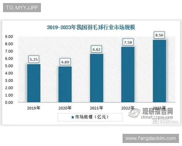 北京羽毛球队心理素质创新高引领全国羽毛球竞技新风潮
