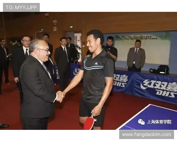 南京乒乓球队的奋斗与荣耀：一段不平凡的突破之路纪实