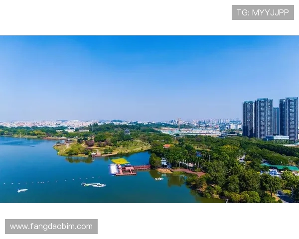 广州排球队的比赛经验揭秘：从训练到赛场的全景探索