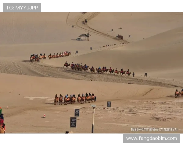 广州滑板队勇闯马拉松大满贯的辉煌征程与突破之路