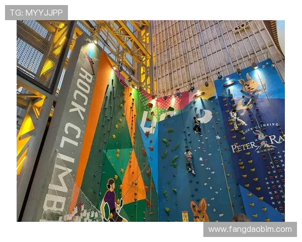 成都攀岩队耐力表现数据分析揭示训练效果与提升潜力