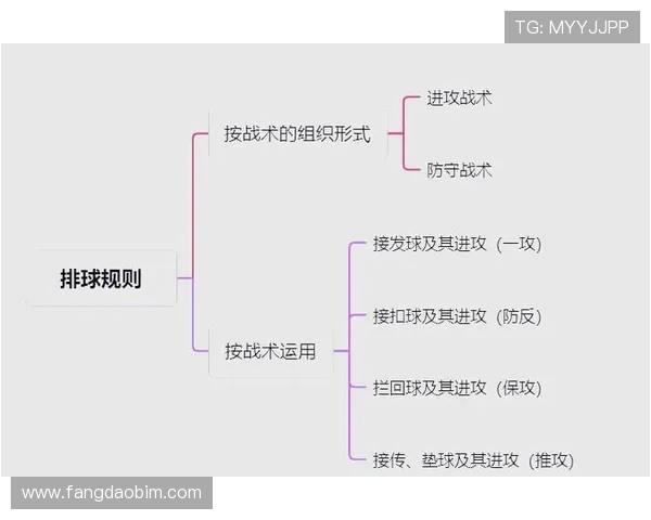 杭州排球队中路突破战术解析与实战应用研究 杭州排球队中路突破战术解析与实战应用研究
