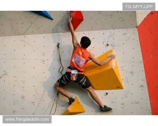 武汉攀岩队勇攀高峰的奋斗故事与联赛精彩瞬间回顾 武汉攀岩队勇攀高峰的奋斗故事与联赛精彩瞬间回顾