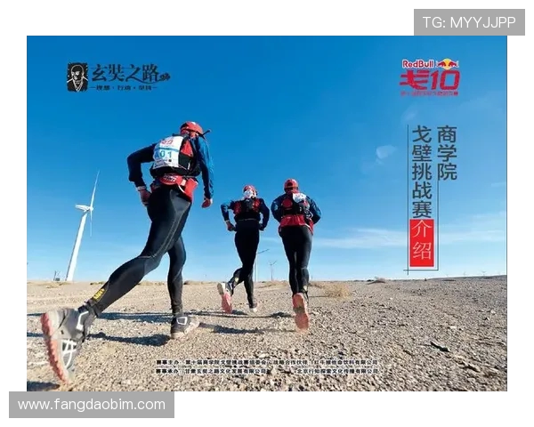 武汉滑板队从攀岩到滑板的华丽转身与挑战之路 武汉滑板队从攀岩到滑板的华丽转身与挑战之路