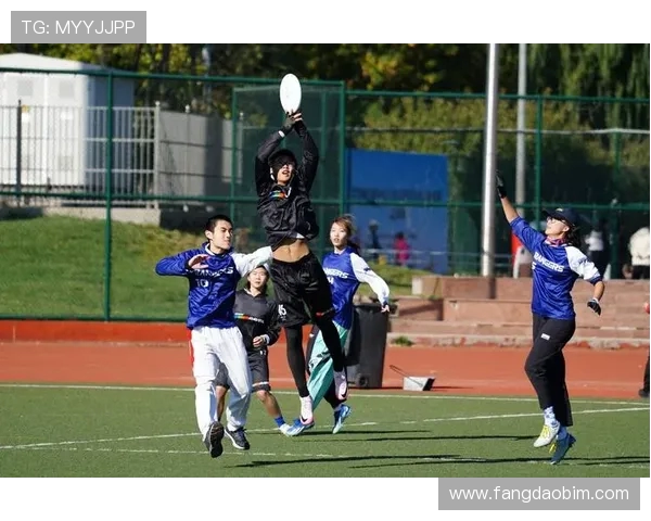 聚焦飞盘战术探讨：北京飞盘队如何提升竞技水平与团队协作