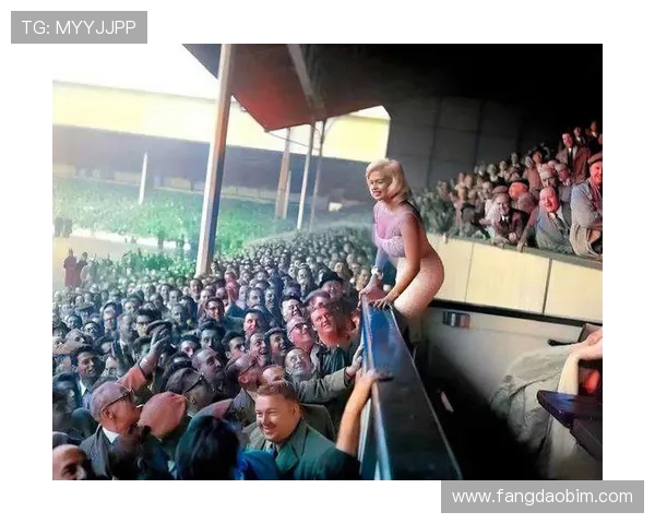 曼斯菲尔德与加的夫城激战正酣谁能在这场较量中笑到最后