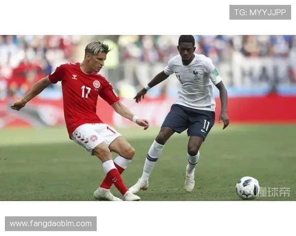 法国与丹麦历史交锋记录分析及比赛结果回顾