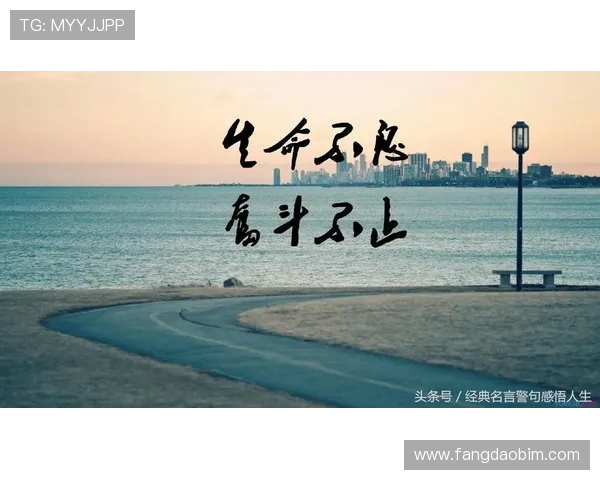 罗凯文的成长之路：从平凡少年到职场精英的励志故事