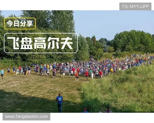 重庆飞盘队心理素质探秘：竞技与心态的双重挑战与成长之路