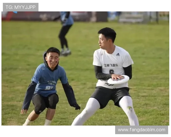 飞盘战术解析：探秘北京飞盘队高效快攻体系的运作与执行