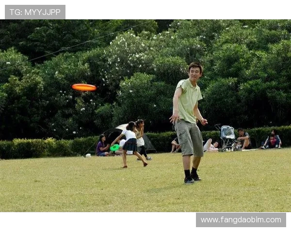 飞盘运动的魅力与挑战：深入探讨杭州飞盘队的灵活性与团队协作