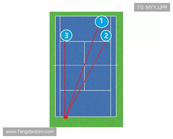 南京网球队快攻战术分析与比赛表现的得与失