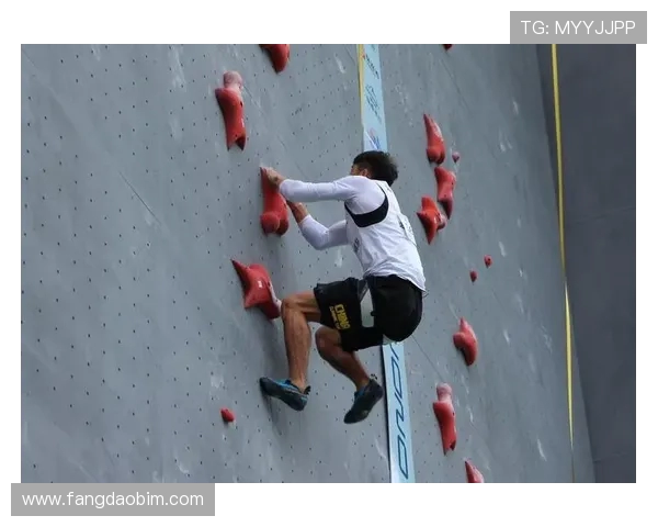 广州攀岩队如何通过技术革新实现进攻战术的全面升级与突破