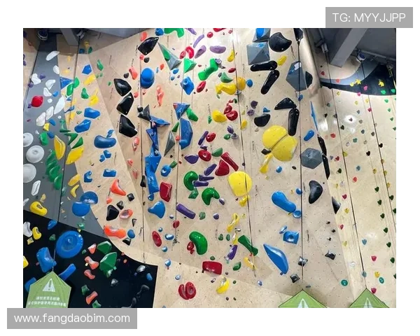 攀岩新手必看:掌握节奏与技巧的全面入门指南 攀岩新手必看:掌握节奏与技巧的全面入门指南