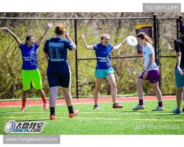 武汉飞盘队的战术解析与控制体系构建探讨