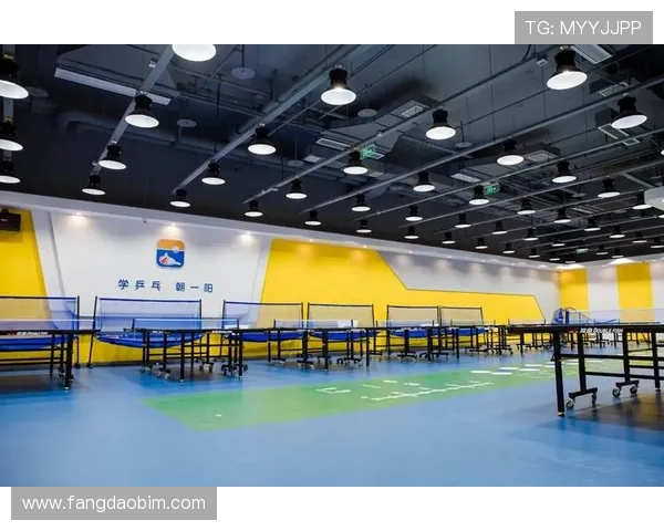 西安乒乓球队引领潮流最新乒乓球技术十强解析与展望 西安乒乓球队引领潮流最新乒乓球技术十强解析与展望