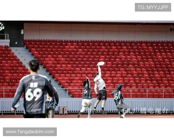 赛后分析：北京飞盘队与南京飞盘队的实力对决与战术较量