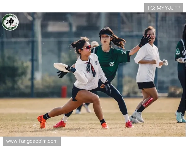 飞盘比赛经验排行榜揭晓广州飞盘队荣获第七名成就斐然