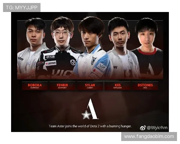 DOTA2巨献：深入解析V5战队的实力与战术魅力