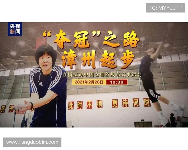 上海排球队的拼搏之路全国锦标赛特别报道展现奋斗精神与团队力量