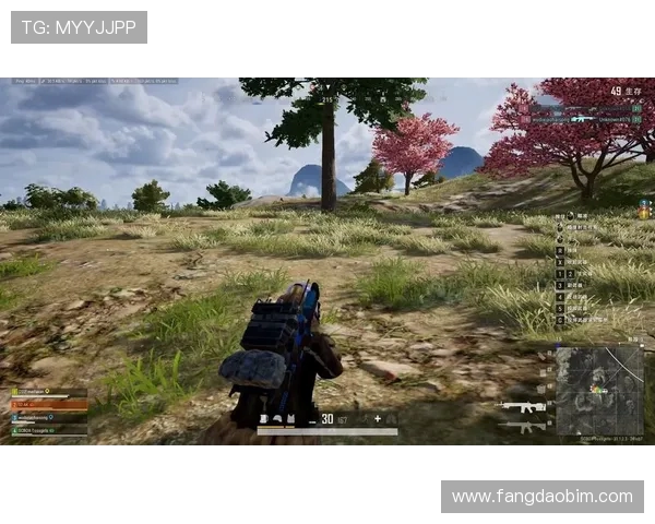 李丽专访：从新手到高手的和平精英成长之路回顾与展望